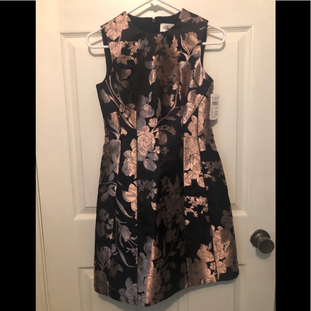 Pink and Black Eliza J Cocktail Dress-0P